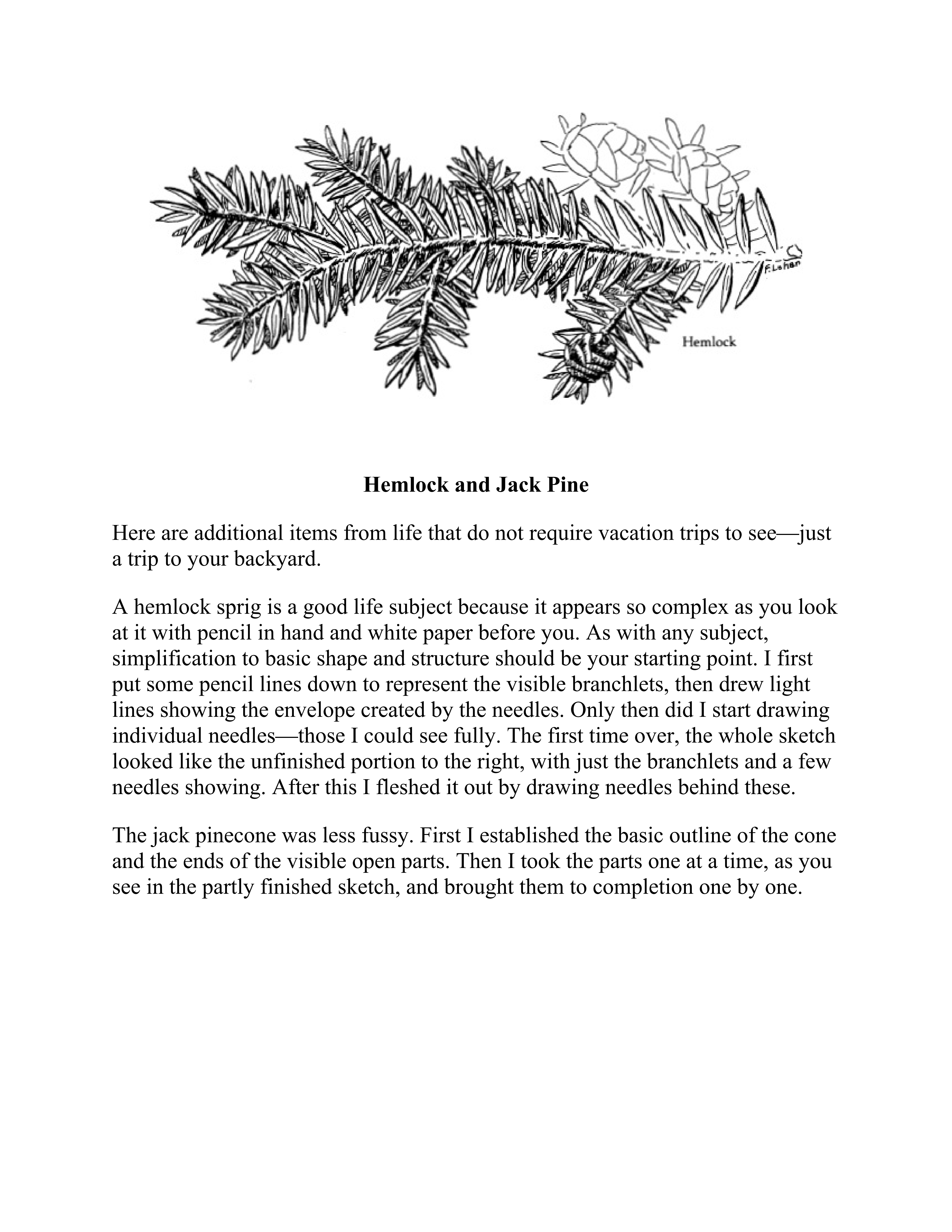 آموزش نقاشی طراحی سیاه قلم شهرری